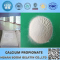 food preservative bangladesh food calcium propionate food preservative